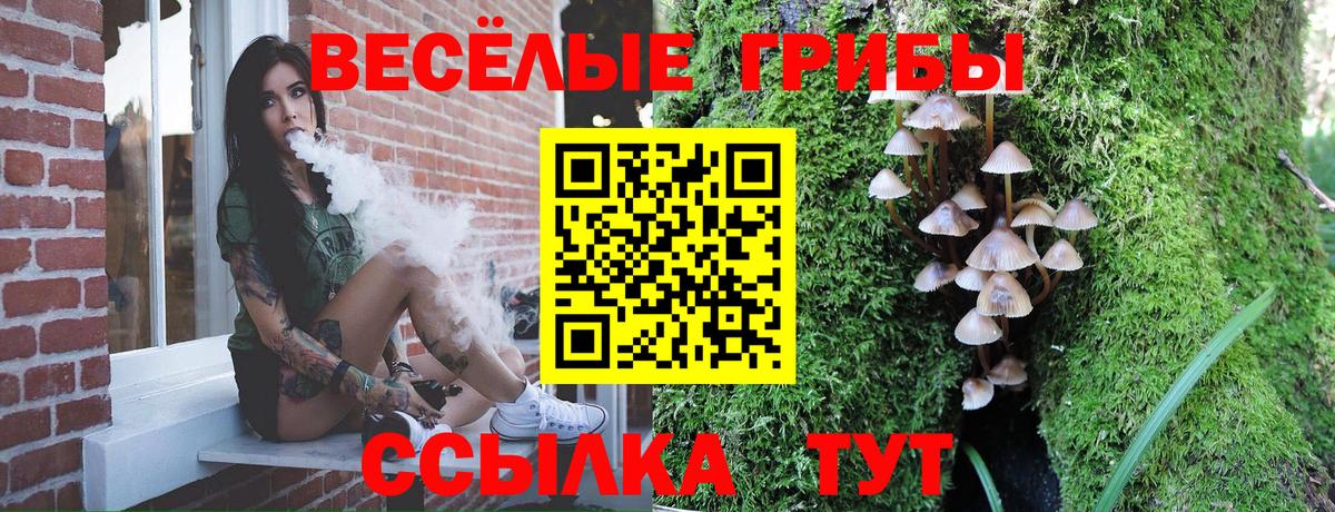 Псилоцибиновые грибы MAGIC MUSHROOMS  Вход с VPN  Галлюциногенные грибы Psilocybine cubensis  Калининград 