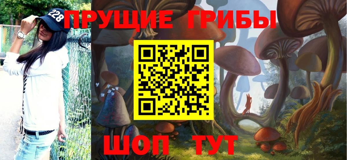 Псилоцибиновые грибы мухоморы Калининград